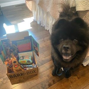 Meet your Posher, Ameen